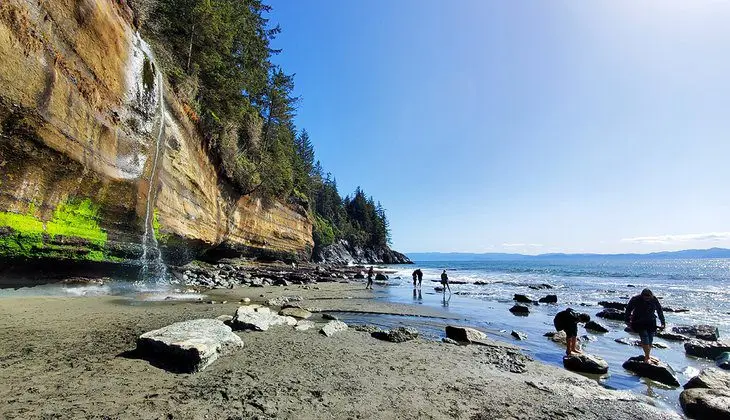 10 Top-Rated Hiking Trails on Vancouver Island, BC