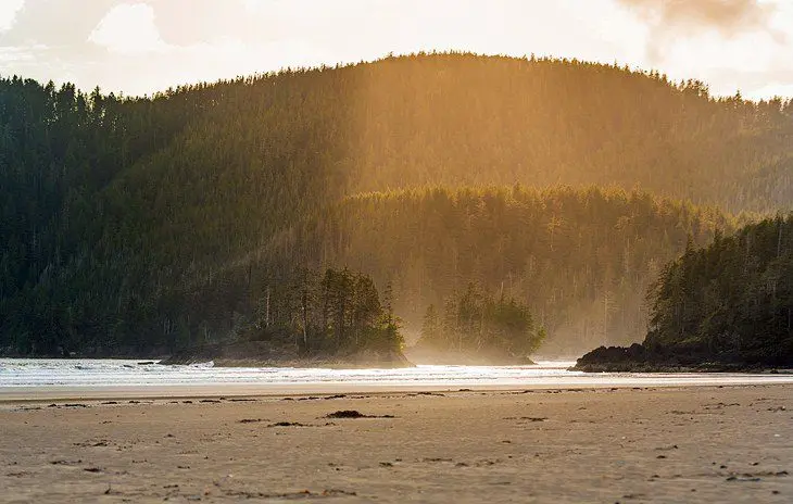 10 Top-Rated Hiking Trails on Vancouver Island, BC