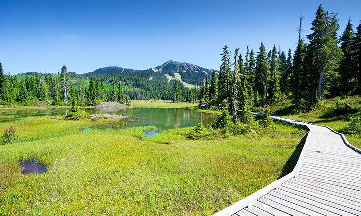 10 Top-Rated Hiking Trails on Vancouver Island, BC