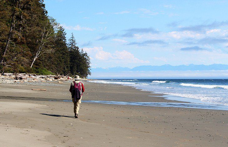 10 Top-Rated Hiking Trails on Vancouver Island, BC