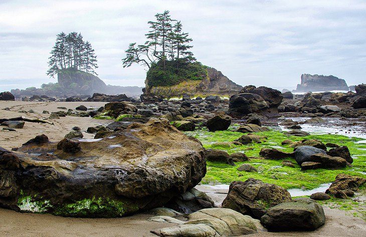 10 Top-Rated Hiking Trails on Vancouver Island, BC