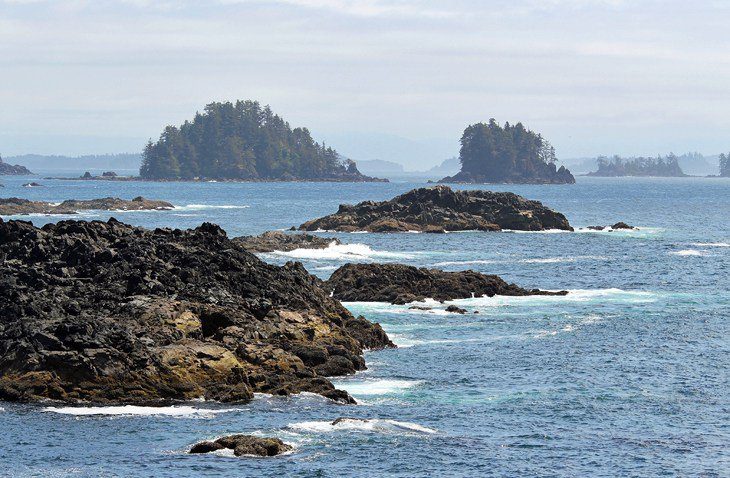 10 Top-Rated Hiking Trails on Vancouver Island, BC