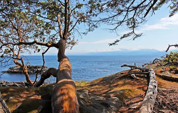 10 Top-Rated Hiking Trails on Vancouver Island, BC