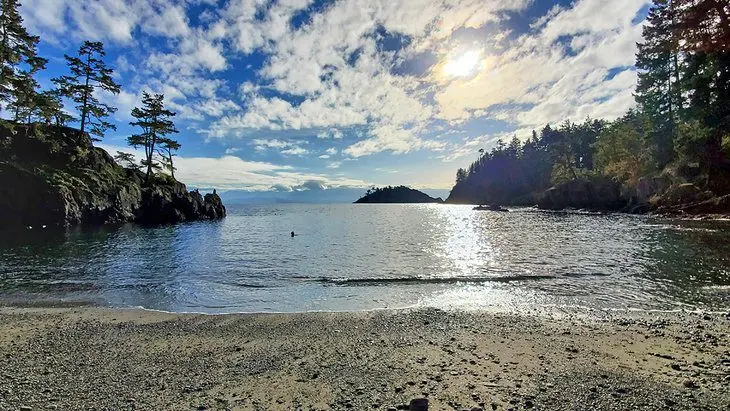 10 Top-Rated Hiking Trails on Vancouver Island, BC