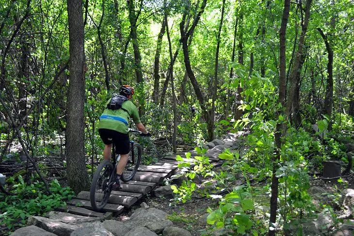 10 Top-Rated Mountain Bike Trails in Minnesota