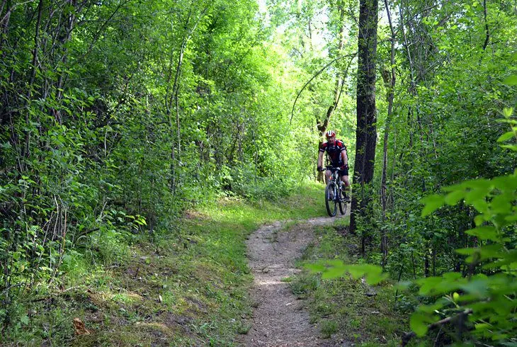 10 Top-Rated Mountain Bike Trails in Minnesota