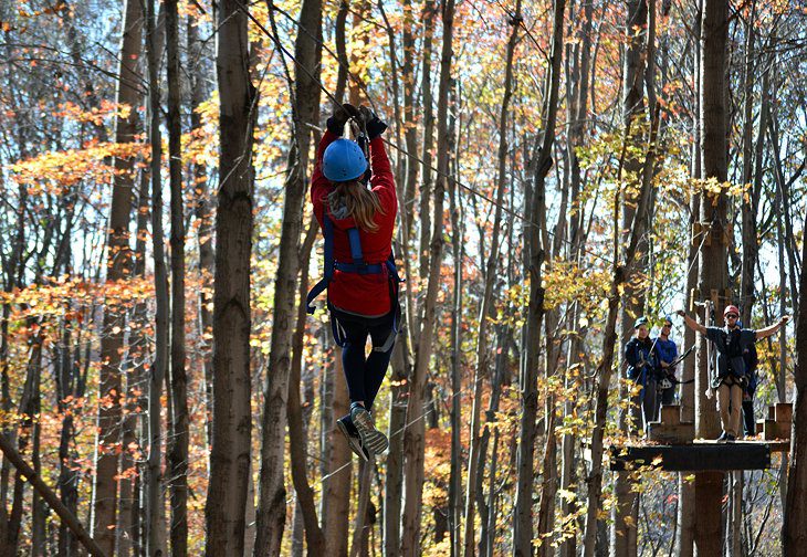 10 Top-Rated Places for Ziplining in Ohio