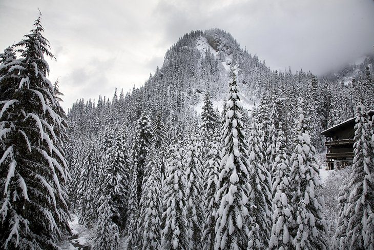 10 Top-Rated Ski Resorts in Washington State, 2023/24