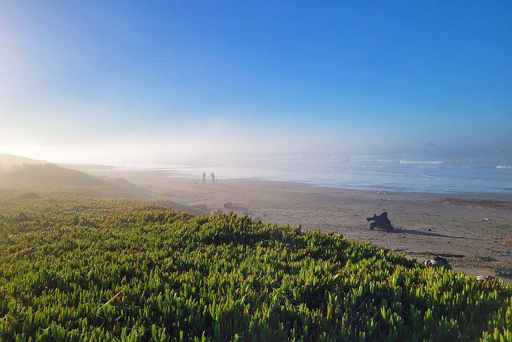 10 Top-Rated Things to Do in Crescent City, CA