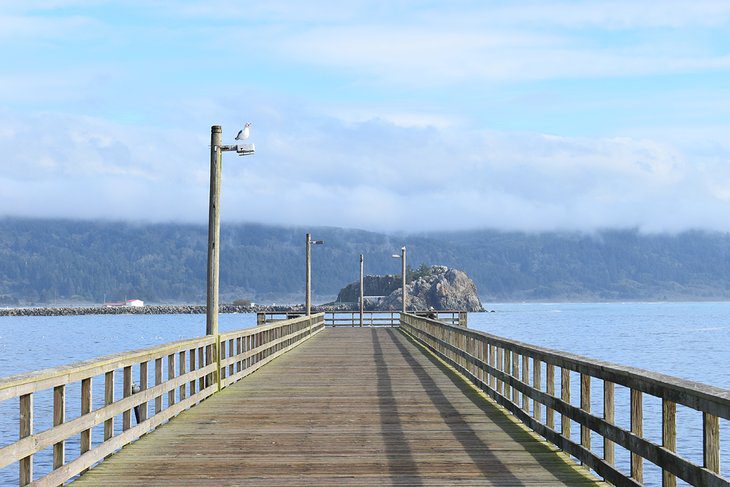 10 Top-Rated Things to Do in Crescent City, CA