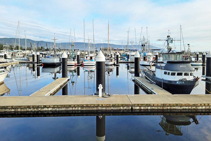 10 Top-Rated Things to Do in Crescent City, CA