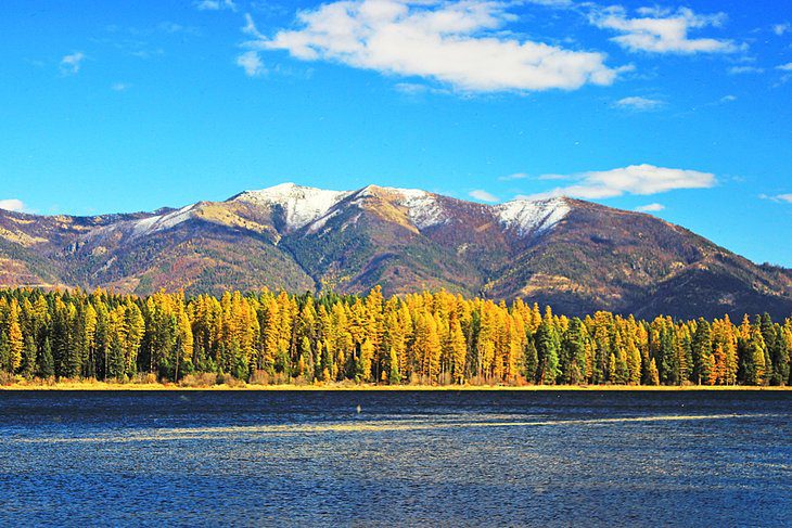 10 Top-Rated Things to Do in Flathead National Forest, MT