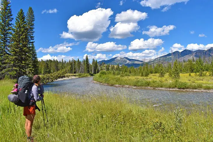 10 Top-Rated Things to Do in Flathead National Forest, MT