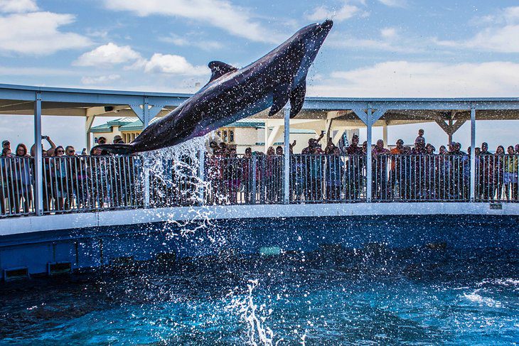 10 Top-Rated Things to Do in Fort Walton Beach, FL