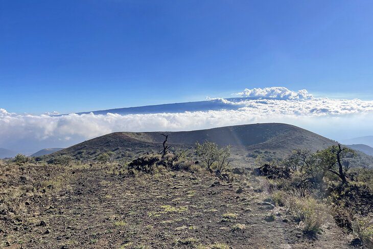 10 Top-Rated Things to Do in Kona, HI