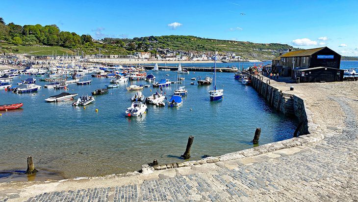 10 Top-Rated Things to Do in Lyme Regis, Dorset