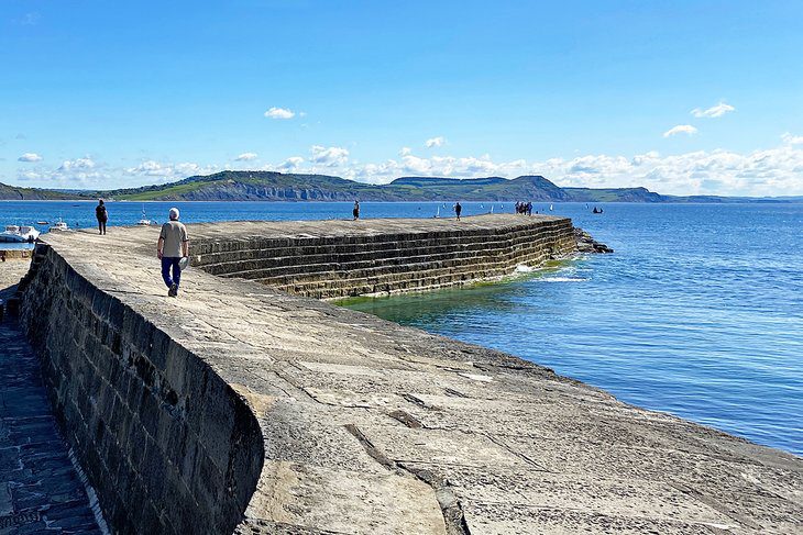 10 Top-Rated Things to Do in Lyme Regis, Dorset