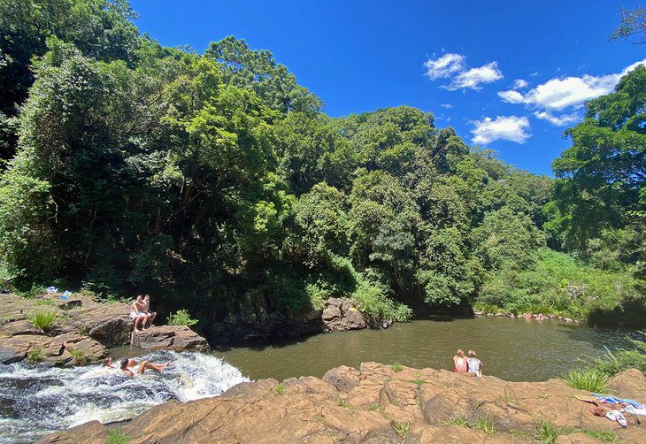 10 Top-Rated Things to Do in Maleny