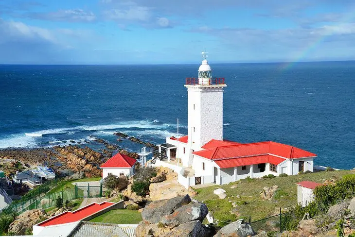 10 Top-Rated Things to Do in Mossel Bay, South Africa