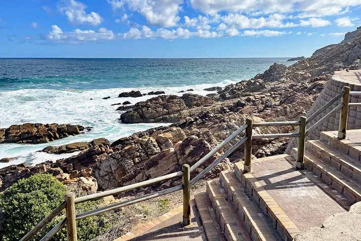 10 Top-Rated Things to Do in Mossel Bay, South Africa