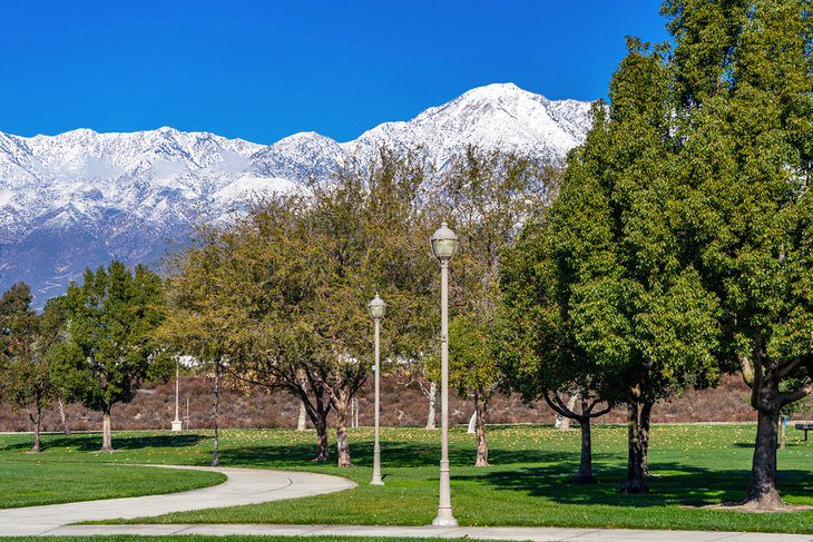 10 Top-Rated Things to Do in Rancho Cucamonga, CA