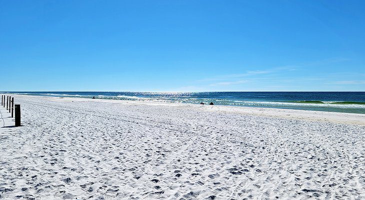 10 Top-Rated Things to Do in Seaside, FL