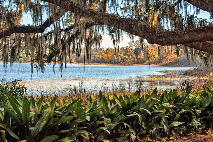 10 Top-Rated Things to Do in Tallahassee, FL