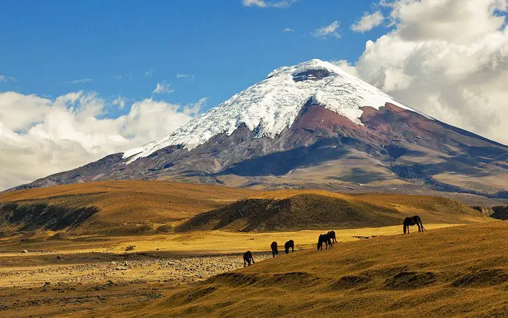 10 Top-Rated Tourist Attractions in Ecuador