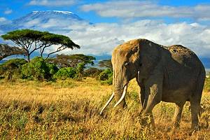 10 Top-Rated Tourist Attractions in Mombasa & Easy Day Trips