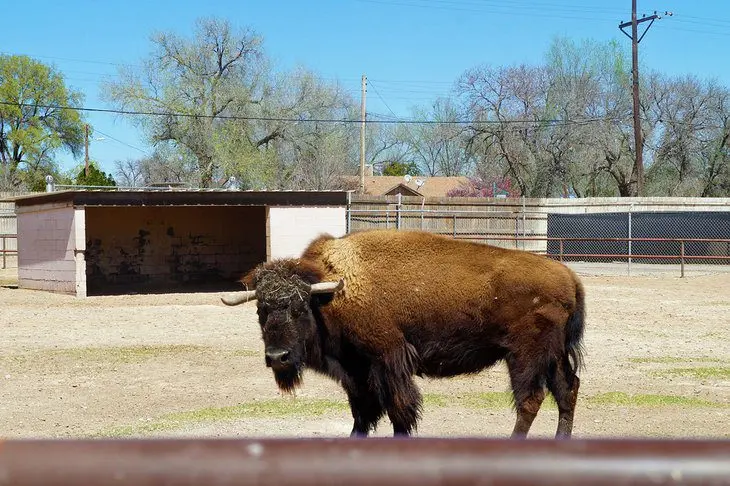 10 Top-Rated Tourist Attractions in Roswell, New Mexico