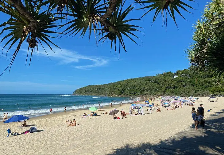 10 Top-Rated Tourist Attractions & Things to Do in Noosa Heads