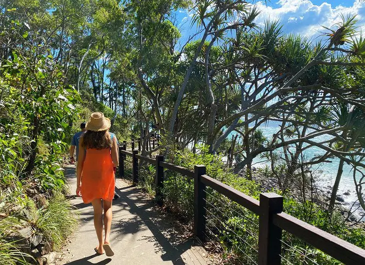 10 Top-Rated Tourist Attractions & Things to Do in Noosa Heads