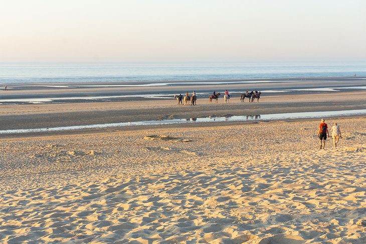 11 Best Beaches in Belgium