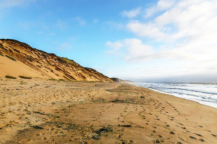 11 Best Beaches near Carmel, CA