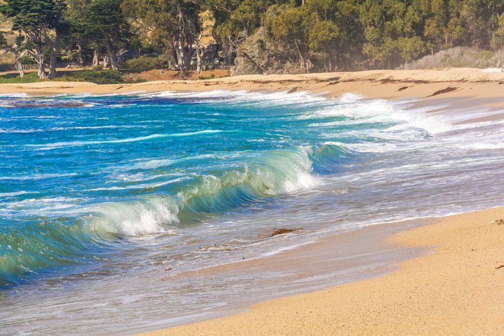 11 Best Beaches near Carmel, CA