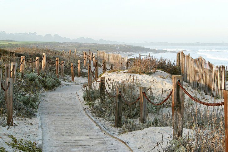 11 Best Beaches near Carmel, CA