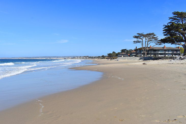 11 Best Beaches near Carmel, CA