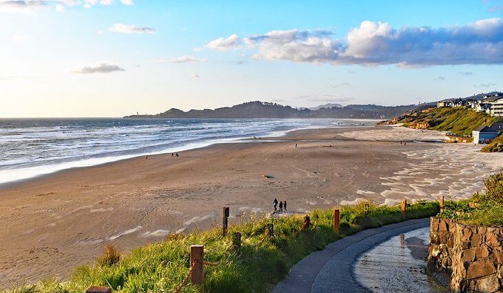 11 Best Beaches near Newport, OR