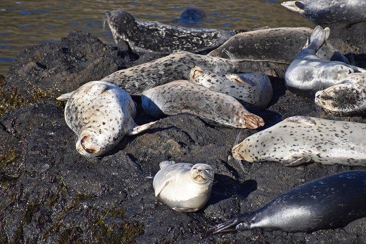 11 Best Beaches near Newport, OR