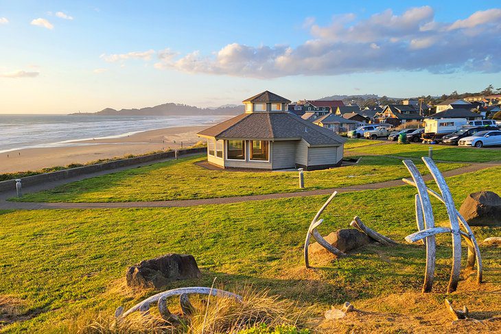 11 Best Beaches near Newport, OR