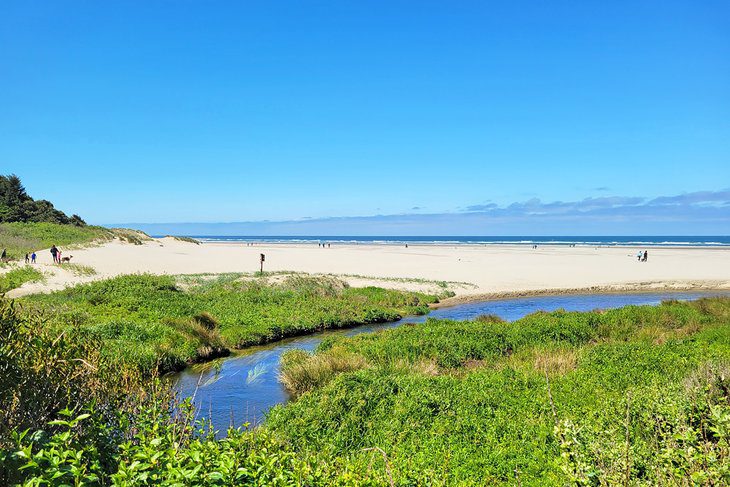 11 Best Beaches near Newport, OR