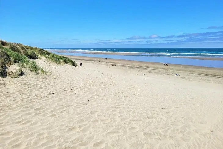 11 Best Beaches near Newport, OR