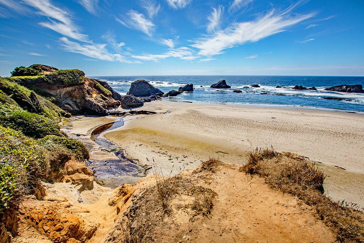 11 Best Beaches near Newport, OR