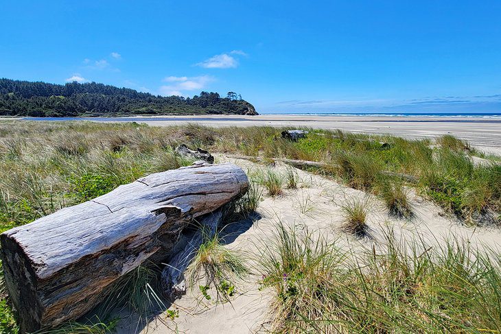 11 Best Beaches near Newport, OR