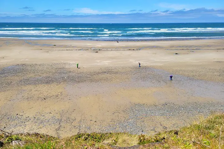 11 Best Beaches near Newport, OR