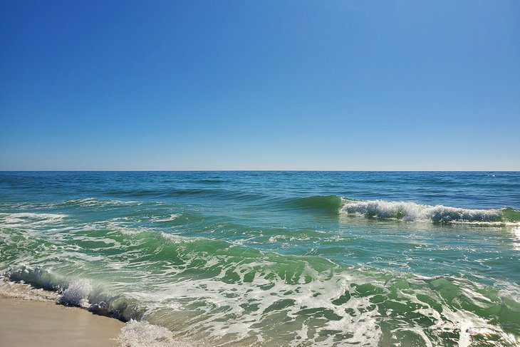 11 Best Beaches near Tallahassee