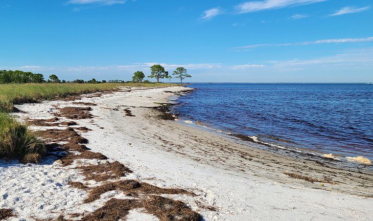 11 Best Beaches near Tallahassee