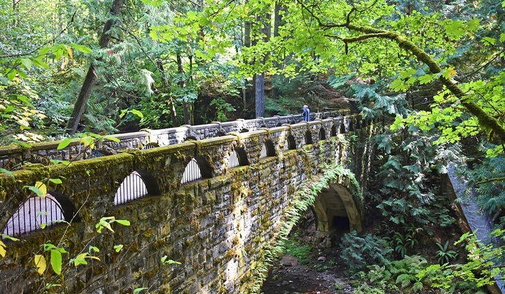 11 Best Hikes in Bellingham, WA