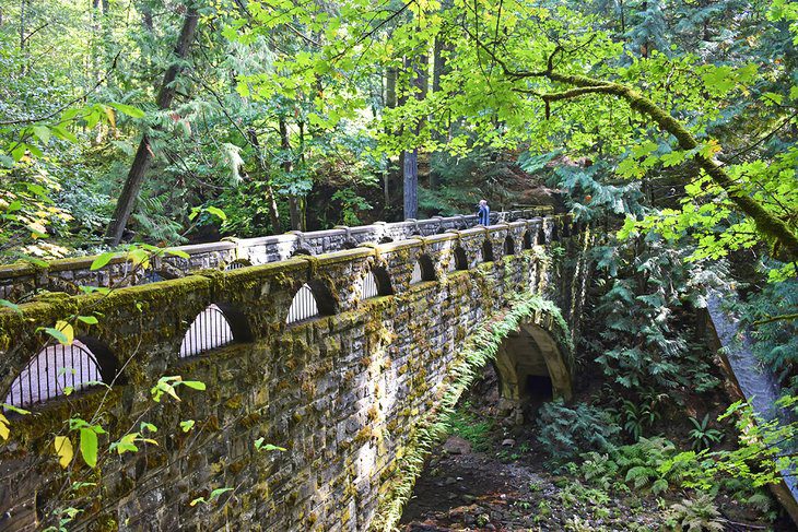 11 Best Hikes in Bellingham, WA