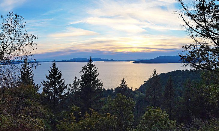 11 Best Hikes in Bellingham, WA